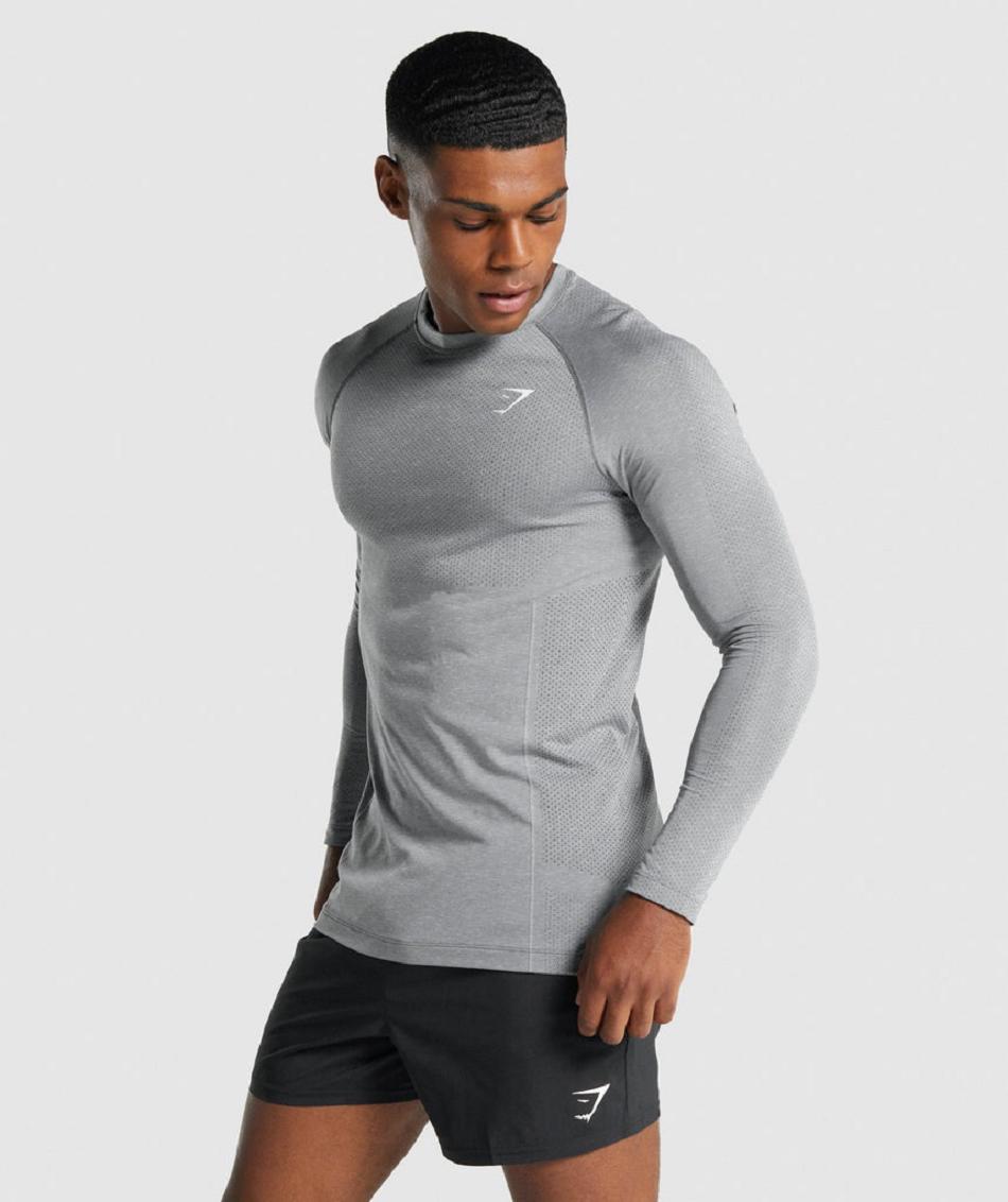 Gymshark Vital Light Seamless Muške Dugi Rukav Sive | HR 2626FDN